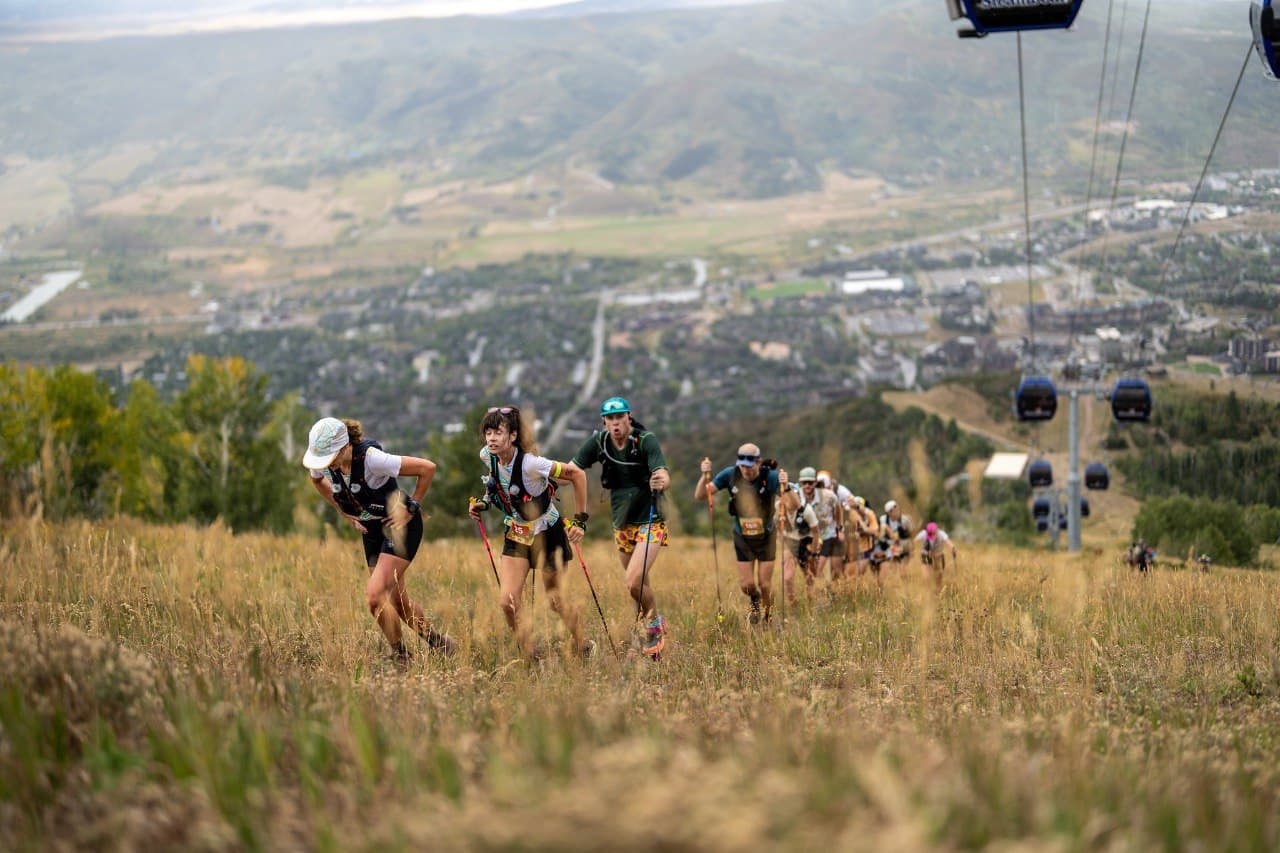 Run Rabbit Run 100